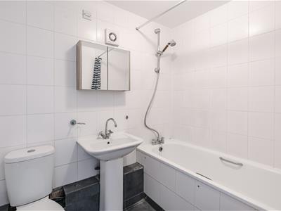 Picture 20